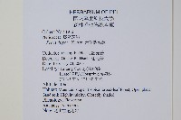 天草鳳尾蕨藏品圖，第2張