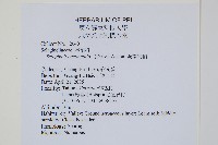 全緣卷柏藏品圖，第2張