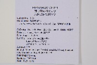 蘭嶼觀音座蓮藏品圖，第4張