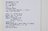 海島陵齒蕨藏品圖，第2張