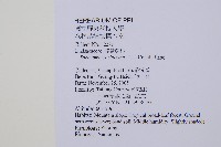 烏蕨藏品圖，第2張