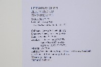 過山龍藏品圖，第2張