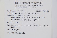 海州骨碎補藏品圖，第2張