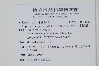 擬烏蘇里瓦葦藏品圖，第2張