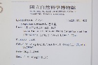 過山龍藏品圖，第2張