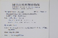 翅軸假金星蕨、短柄卵果蕨藏品圖，第2張