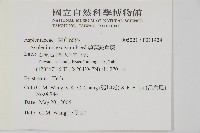 剪葉鐵角蕨藏品圖，第2張