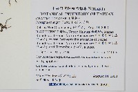 穴子蕨藏品圖，第2張