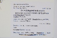 密腺蹄蓋蕨藏品圖，第2張