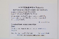 大刺蕨藏品圖，第2張