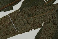 傅氏三叉蕨藏品圖，第5張