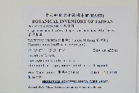 掌葉茀蕨藏品圖，第2張