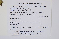 觀音座蓮舅藏品圖，第2張