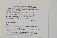 薄葉擬肋毛蕨藏品圖，第2張