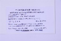 綠柄剪葉鐵角蕨藏品圖，第2張