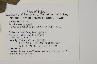 翅柄三叉蕨藏品圖，第2張