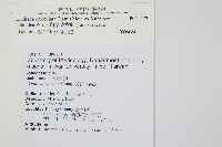 三角葉陵齒蕨藏品圖，第2張