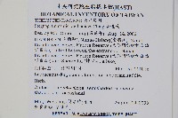 聖蕨藏品圖，第2張