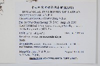 大星蕨藏品圖，第2張