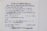 彎柄假複葉耳蕨藏品圖，第2張