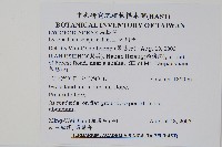 地刷子藏品圖，第2張