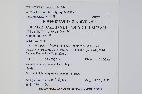 疏葉卷柏藏品圖，第2張