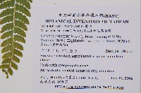 粗毛鱗蓋蕨藏品圖，第2張