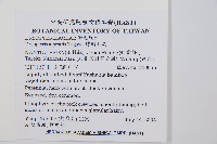 腺鱗毛蕨藏品圖，第2張