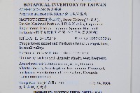 亞德氏蹄蓋蕨、假冷蕨藏品圖，第2張