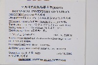 瓦氏鱗毛蕨藏品圖，第2張