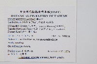 毛桿蕨藏品圖，第2張