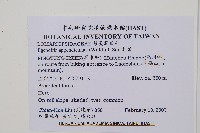 刺蕨藏品圖，第2張