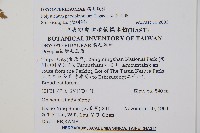 尖葉耳蕨藏品圖，第2張