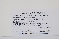 史氏鱗毛蕨藏品圖，第2張