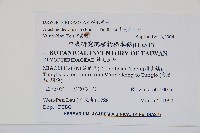 細葉複葉耳蕨藏品圖，第2張