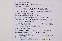 假蹄蓋蕨、東洋蹄蓋蕨藏品圖，第2張