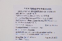 威氏鐵角蕨藏品圖，第2張