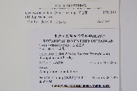 野毛蕨藏品圖，第2張