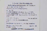 硬葉耳蕨藏品圖，第2張