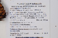 臺灣鱗毛蕨藏品圖，第2張