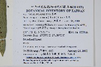 扇蕨藏品圖，第2張