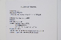 深山雙蓋蕨藏品圖，第2張