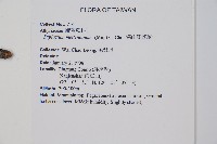 深山雙蓋蕨藏品圖，第7張