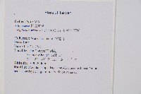 鋸齒雙蓋蕨、線葉雙蓋蕨、刺鱗雙蓋蕨藏品圖，第2張