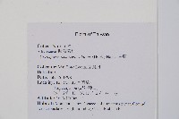 貞蕨藏品圖，第2張