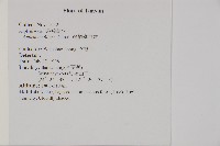 複齒鐵角蕨藏品圖，第2張