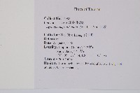 刺蕨藏品圖，第2張