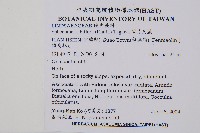 闊片烏蕨藏品圖，第2張