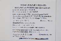 臺東耳蕨藏品圖，第2張