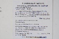 岩鳳尾蕨藏品圖，第2張